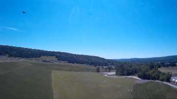 Click to see 19 WP Dam Eagle 01.jpg