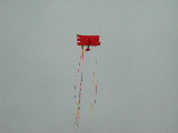Click to see 28 Kite Flying.JPG