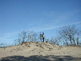 Click to see 04 Walking Dunes 3.jpg