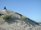 Click to see 20 Walking Dunes 03.JPG