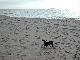 Click to see 014 Tuesday Beach.JPG