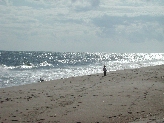 Click to see 024 Afternoon Surf.JPG