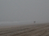 Click to see 01 Foggy Day 01.JPG