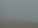 Click to see 03 Foggy Day 03.JPG