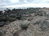 Click to see 11 Tidal Boulders.JPG