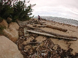 Click to see 24 Montauk Driftwood.JPG