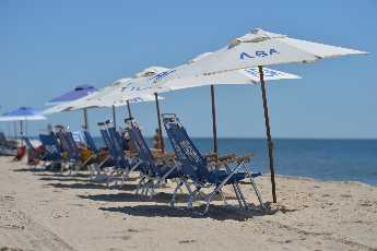 Click to see 06 ABA Lineup.JPG