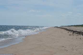 Click to see 11 Two Mile Hollow.JPG