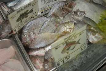 Click to see 14 Stewart's.JPG