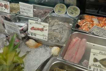 Click to see 15 Stewart's.JPG