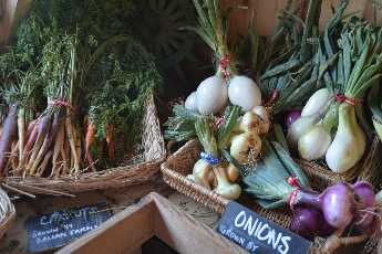 Click to see 16 Balsam Farms.JPG