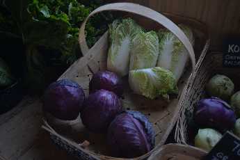 Click to see 17 Balsam Farms.JPG