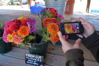 Click to see 18 Balsam Farms.JPG