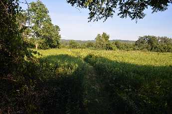 Click to see 01 Otselic Swimming Hole.JPG