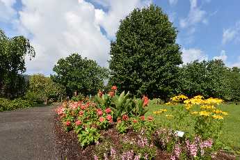 Click to see 15 Community Garden.JPG