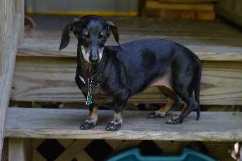 Click to see 17 Shiloh.JPG