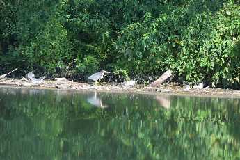 Click to see 56 Kayak with Joanne.JPG