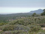 Click to see 023 Cuyamaca Vista 2.JPG