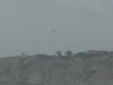 Click to see 100 Torrey Pines Hang Gliding 7.JPG