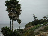 Click to see 102 Swami Palms 2.JPG