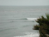 Click to see 103 Swami Surfers.JPG