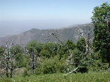 Click to see 120 Palomar Western Vista 2.JPG