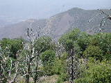 Click to see 122 Palomar Western Vista 4.JPG