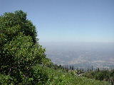 Click to see 123 Palomar Western Vista 5.JPG