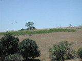 Click to see 125 Palomar Meadows.JPG