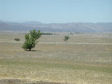 Click to see 133 Lake Henshaw Valley 3.JPG