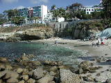 Click to see 146 La Jolla Cove 2.JPG