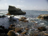 Click to see 147 Outside La Jolla Cove.JPG