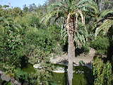 Click to see 202 Tropical Paradise.JPG