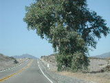 Click to see 234 Moretti's Junction.JPG
