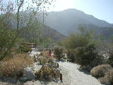 Click to see 243 Anza Borego Desert Park.JPG
