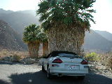 Click to see 246 Palm Canyon.JPG