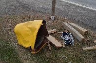 Click to see 01 Our Poor Mailbox.jpg