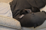 Click to see 05 Shiloh.jpg