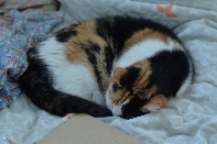 Click to see 06 Chloe.jpg