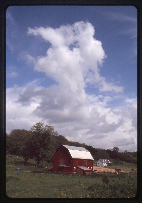 Click to see 04 Astia 100F Polarized Landscape.jpg