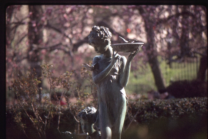 Click to see 25 Kodachrome 64 Sunny Bronze.jpg