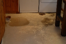 Click to see 03 The Flood.jpg