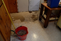 Click to see 04 The Flood.jpg