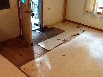 Click to see 09 Old Floor.jpg