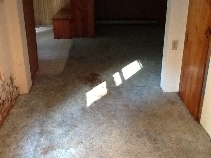 Click to see 11 Dirty Carpet.jpg