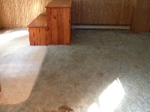 Click to see 12 Dirty Carpet.jpg