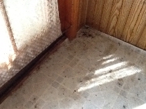 Click to see 14 Old Floor.jpg