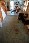 Click to see 20 Dirty Carpet.jpg