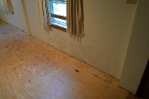 Click to see 35 Less Mold.jpg