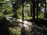 Click to see 05 Rainy Driveway.JPG